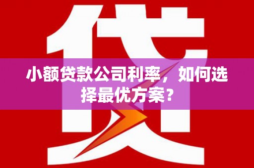 坡头小额贷款公司利率，如何选择最优方案？