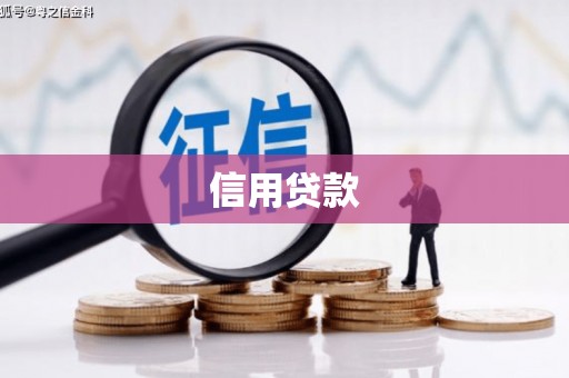 坡头信用贷款