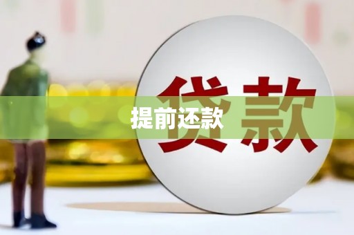 坡头提前还款