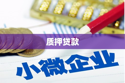 坡头质押贷款