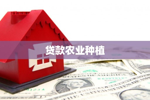 坡头贷款农业种植