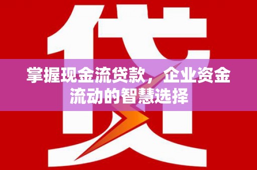 坡头掌握现金流贷款，企业资金流动的智慧选择