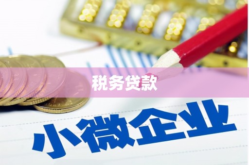 坡头税务贷款