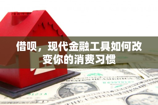 坡头借呗，现代金融工具如何改变你的消费习惯