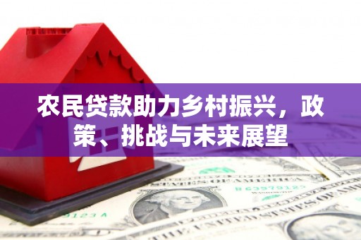 坡头农民贷款助力乡村振兴，政策、挑战与未来展望