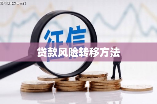 坡头贷款风险转移方法
