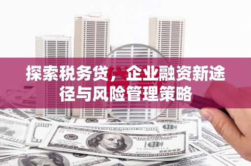 坡头探索税务贷，企业融资新途径与风险管理策略