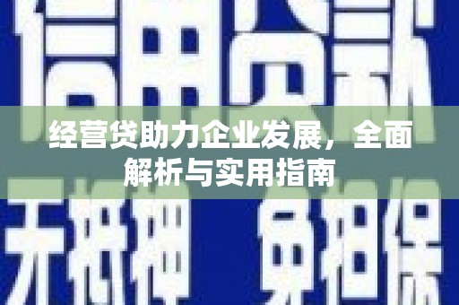 坡头经营贷助力企业发展，全面解析与实用指南