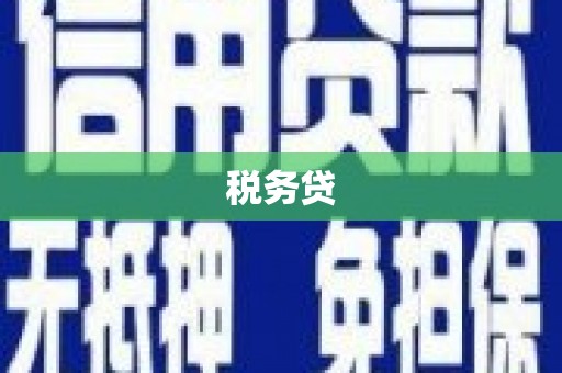 坡头税务贷