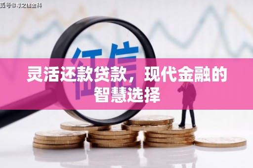 坡头灵活还款贷款，现代金融的智慧选择