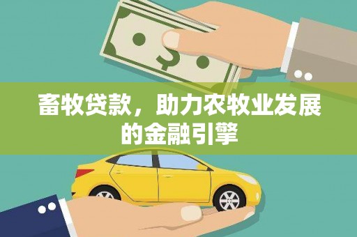坡头畜牧贷款，助力农牧业发展的金融引擎