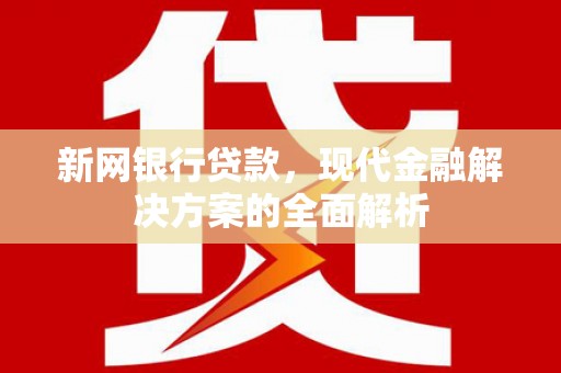 坡头新网银行贷款，现代金融解决方案的全面解析