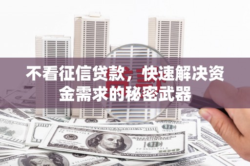 坡头不看征信贷款，快速解决资金需求的秘密武器