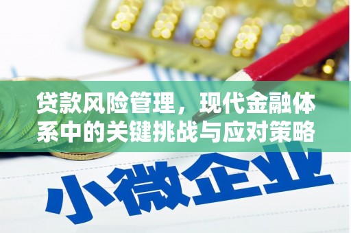 坡头贷款风险管理，现代金融体系中的关键挑战与应对策略