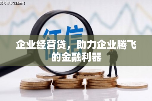 坡头企业经营贷，助力企业腾飞的金融利器