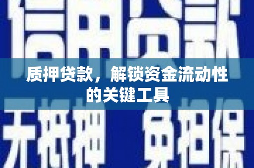 坡头质押贷款，解锁资金流动性的关键工具