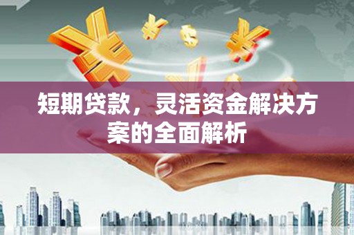 坡头短期贷款，灵活资金解决方案的全面解析