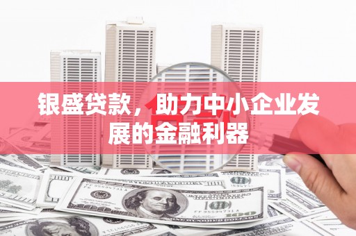 坡头银盛贷款，助力中小企业发展的金融利器