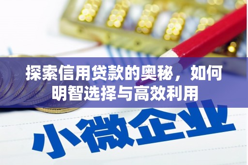 坡头探索信用贷款的奥秘，如何明智选择与高效利用