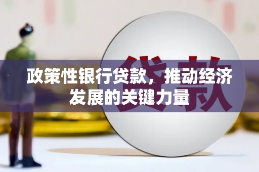 坡头政策性银行贷款，推动经济发展的关键力量