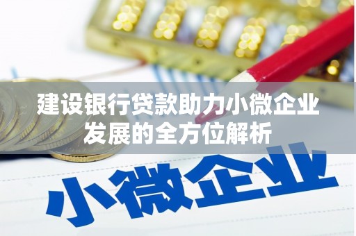 坡头建设银行贷款助力小微企业发展的全方位解析