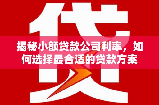 坡头揭秘小额贷款公司利率，如何选择最合适的贷款方案