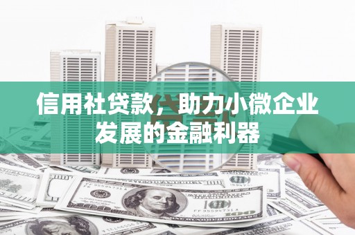坡头信用社贷款，助力小微企业发展的金融利器