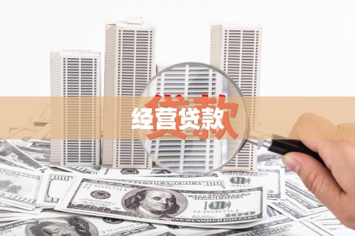 坡头经营贷款