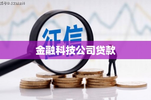 坡头金融科技公司贷款