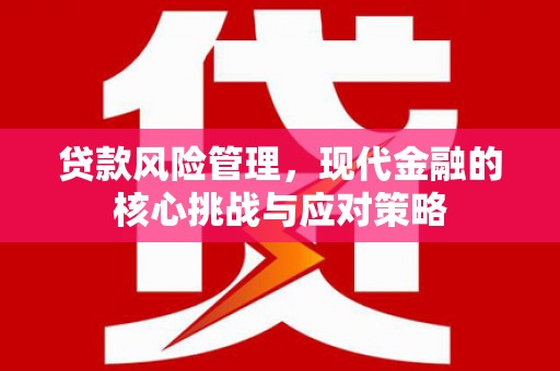 坡头贷款风险管理，现代金融的核心挑战与应对策略
