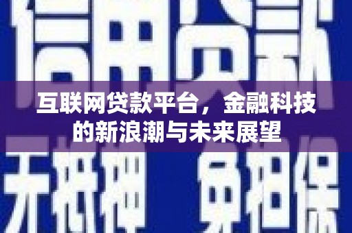 坡头互联网贷款平台，金融科技的新浪潮与未来展望
