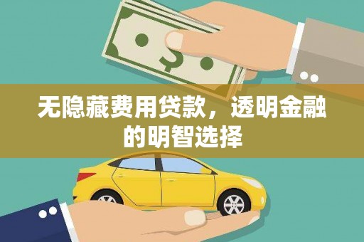 坡头无隐藏费用贷款，透明金融的明智选择