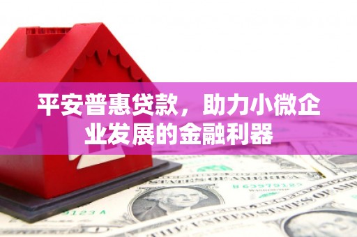 坡头平安普惠贷款，助力小微企业发展的金融利器