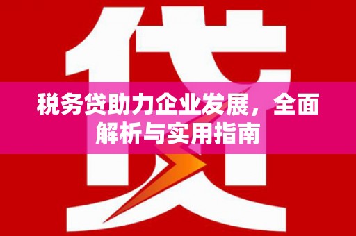 坡头税务贷助力企业发展，全面解析与实用指南