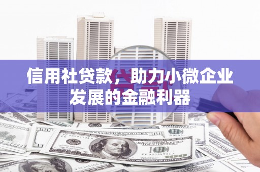 坡头信用社贷款，助力小微企业发展的金融利器