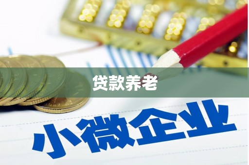 坡头贷款养老