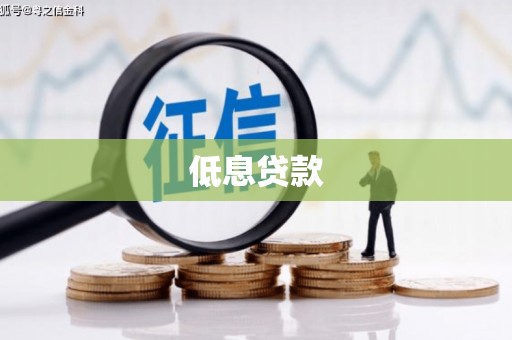 坡头低息贷款
