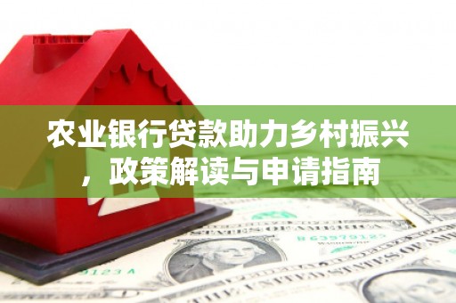 坡头农业银行贷款助力乡村振兴，政策解读与申请指南