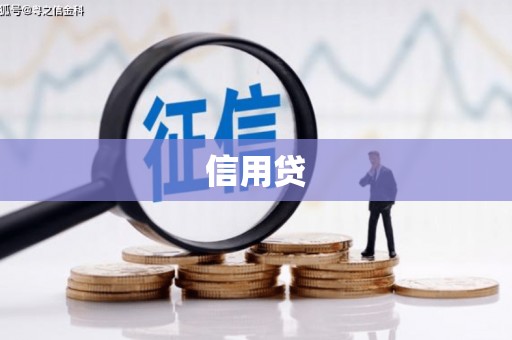 坡头信用贷