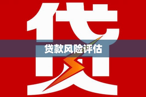 坡头贷款风险评估