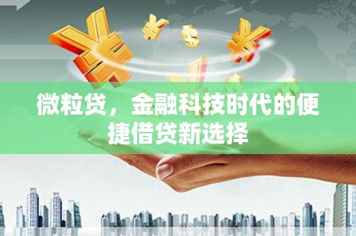 坡头微粒贷，金融科技时代的便捷借贷新选择