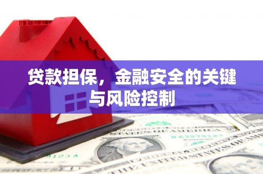 坡头贷款担保，金融安全的关键与风险控制
