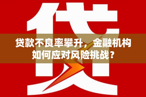 坡头贷款不良率攀升，金融机构如何应对风险挑战？