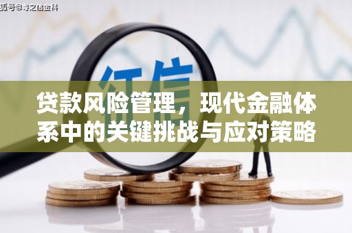 坡头贷款风险管理，现代金融体系中的关键挑战与应对策略