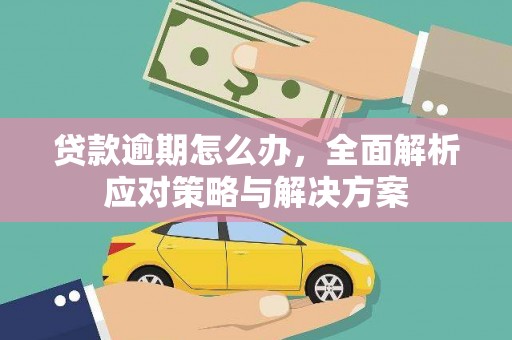 坡头贷款逾期怎么办，全面解析应对策略与解决方案