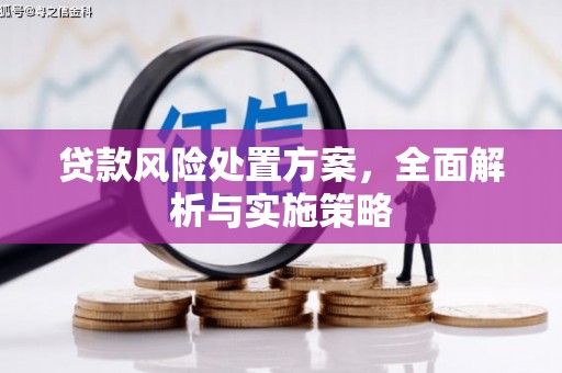 坡头贷款风险处置方案，全面解析与实施策略