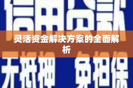 坡头灵活资金解决方案的全面解析