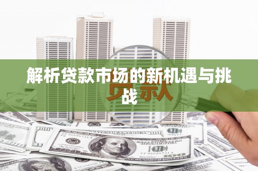坡头解析贷款市场的新机遇与挑战
