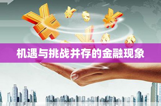 坡头机遇与挑战并存的金融现象