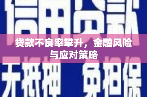 坡头贷款不良率攀升，金融风险与应对策略